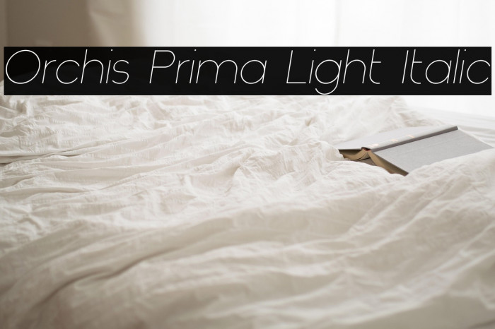 Orchis Prima Light Italic Example 2
