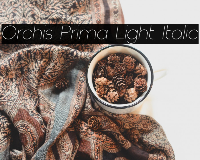 Orchis Prima Light Italic Example 3