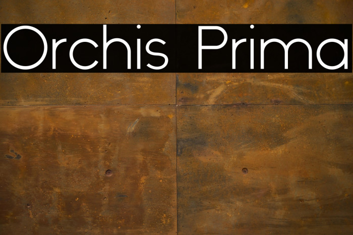 Orchis Prima Example 2