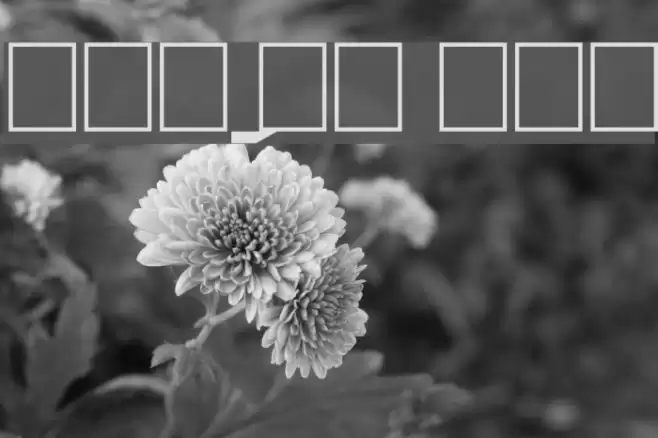 Ordens_VK Normal Fonte examples