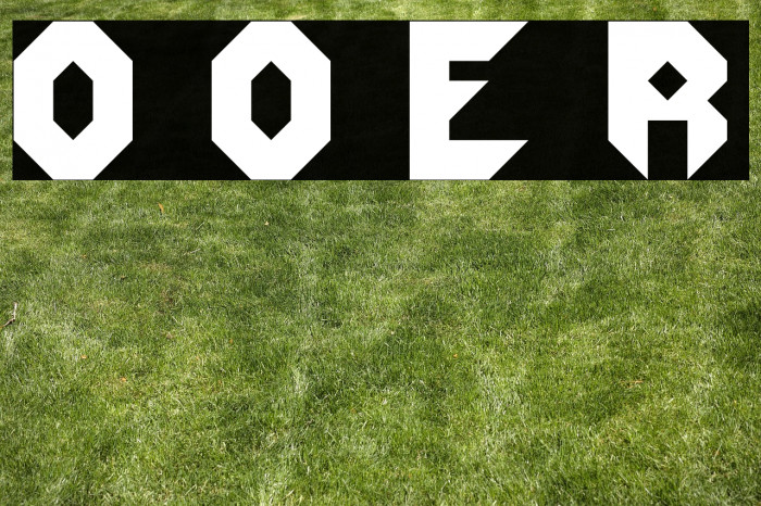 Order Of Elephants Regular Example 1