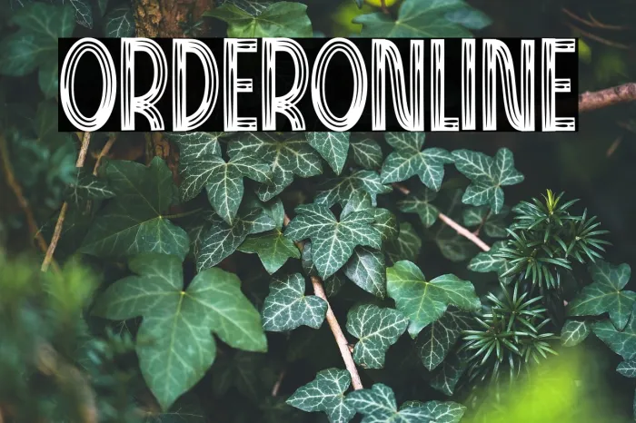 Order Online Example 1