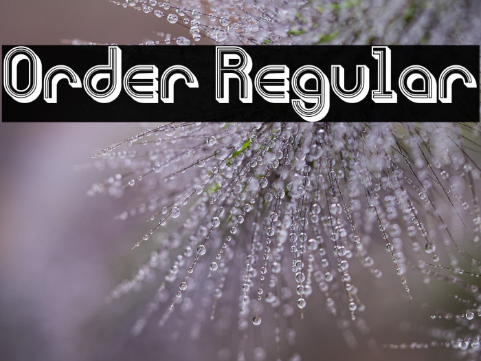 Order Regular Example 1