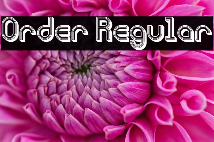 Order Regular Example 2