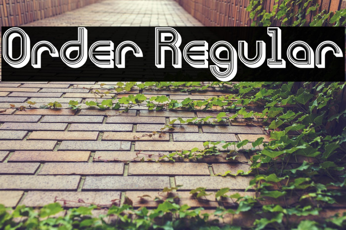 Order Regular Example 3