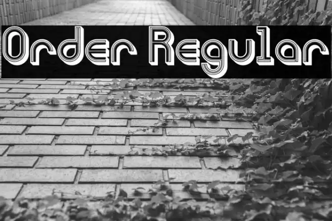 Order Regular Font examples