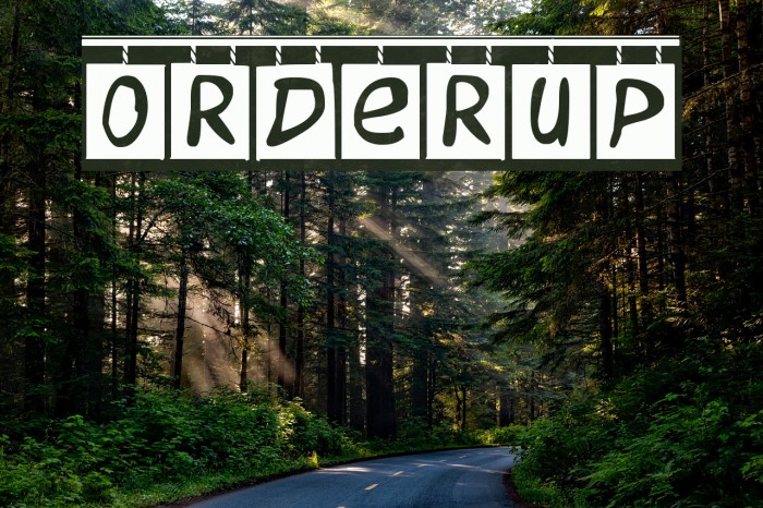 OrderUp Font examples