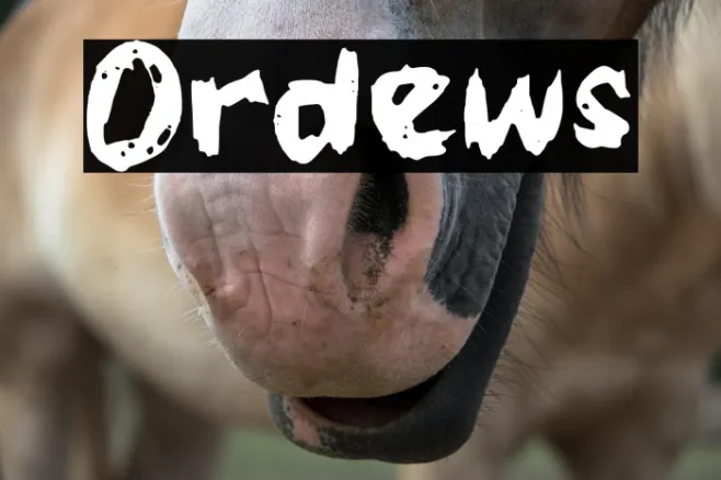 Ordews Example 2