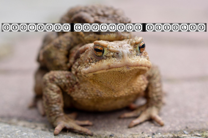 Ordinary Capitals Regular Example 1