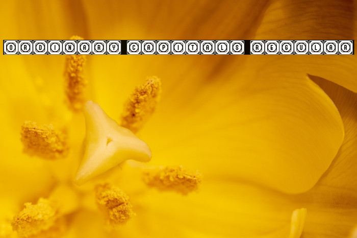 Ordinary Capitals Regular Example 2