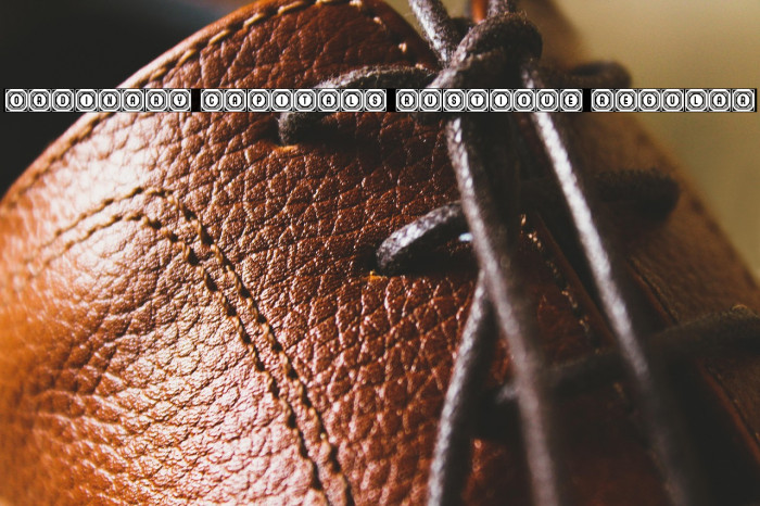 Ordinary Capitals Rustique Regular Example 1