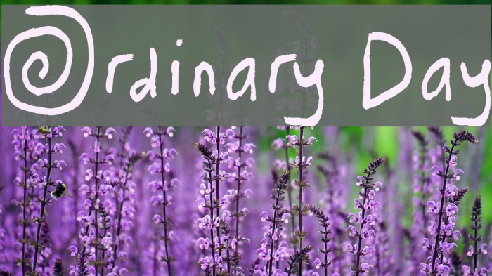 Ordinary Day Font examples