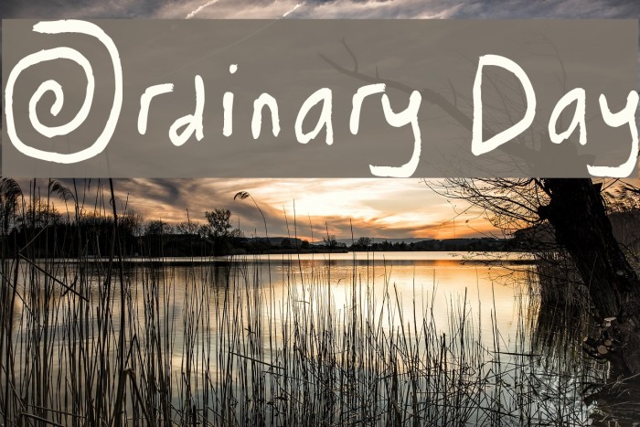 Ordinary Day Font examples