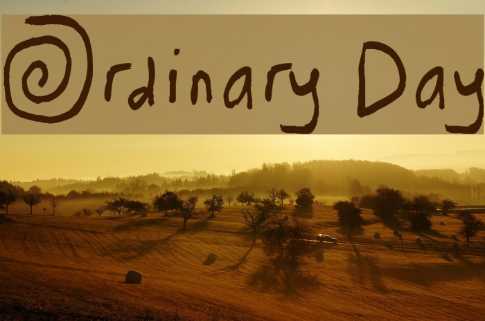 Ordinary Day Font examples