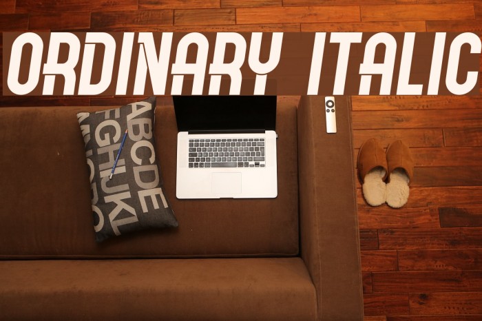 Ordinary Italic Font examples