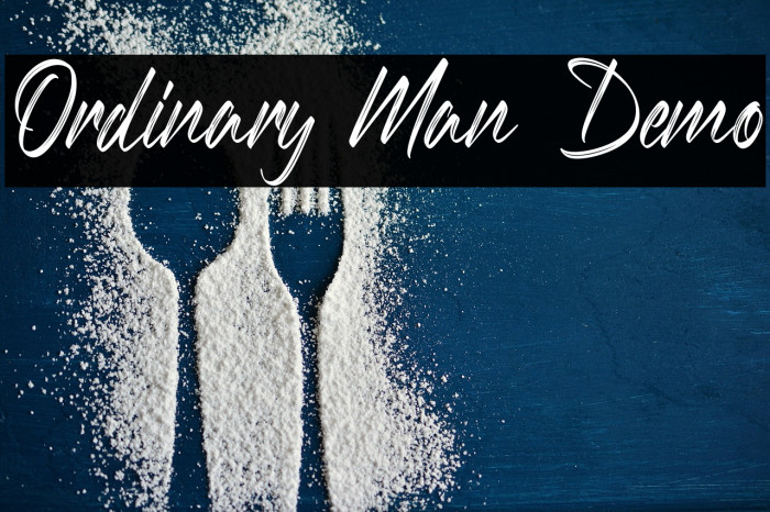 Ordinary Man Demo Example 1