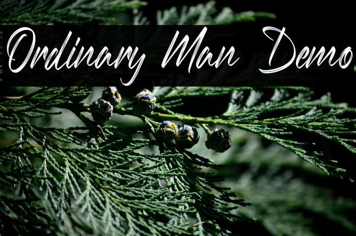 Ordinary Man Demo Example 2