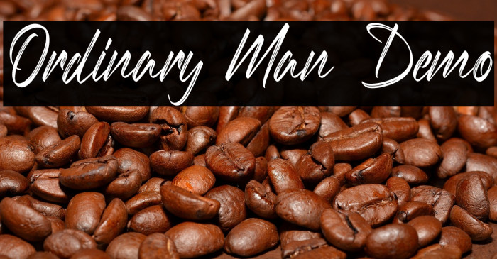 Ordinary Man Demo Example 3