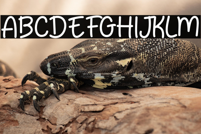 Ordinary Notes Thin Example 3