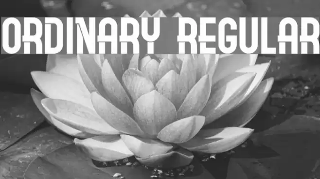 Ordinary Regular Font examples