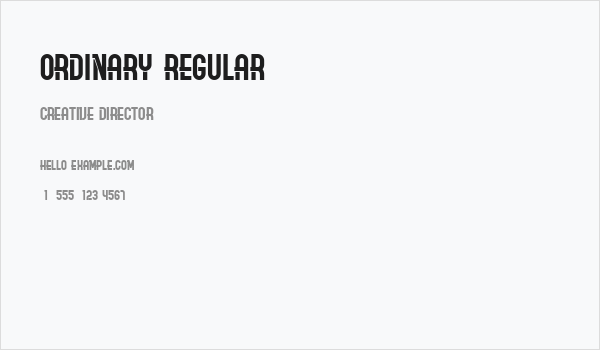 Ordinary Regular Business Card