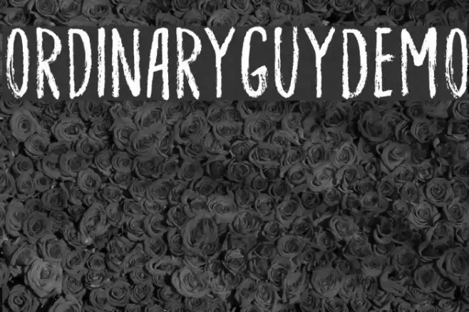 OrdinaryGuyDEMO Font examples