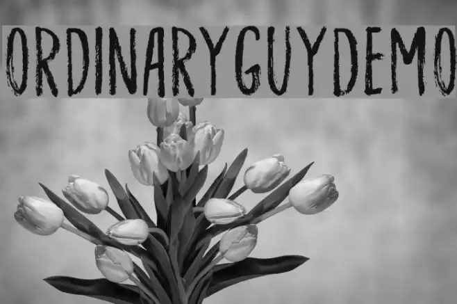 OrdinaryGuyDEMO Font examples