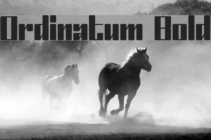 Ordinatum Bold Font examples