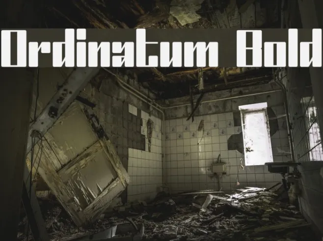 Ordinatum Bold Example 2