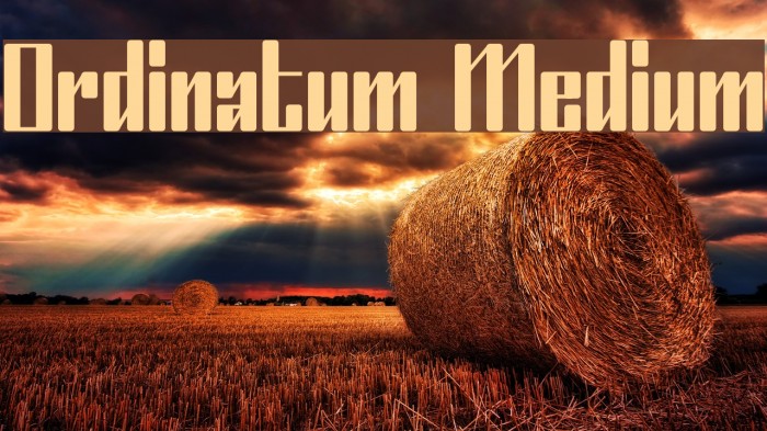 Ordinatum Medium Font examples