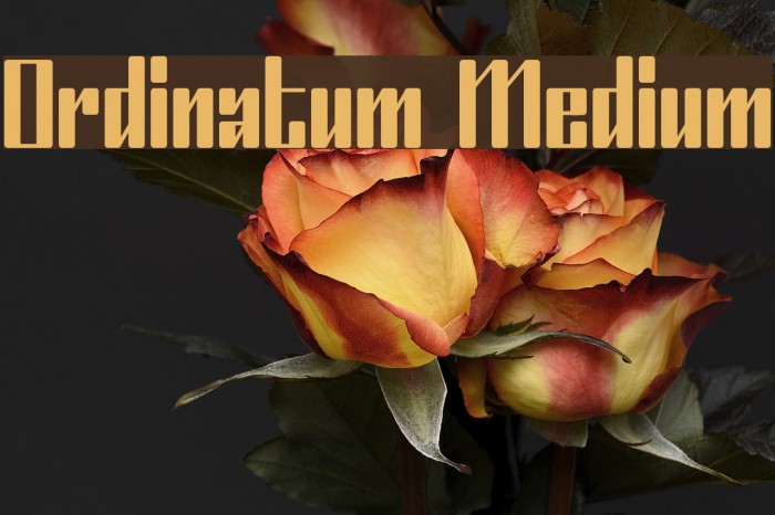 Ordinatum Medium Font examples