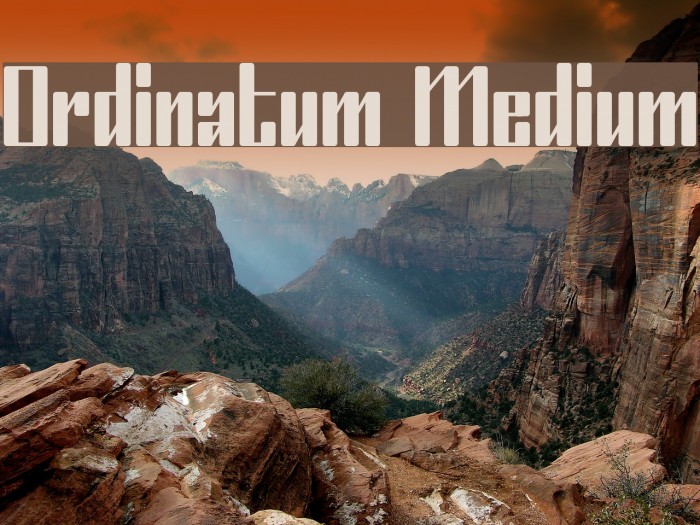 Ordinatum Medium Font examples