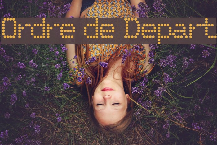 Ordre de Depart Font examples