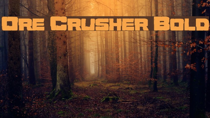 Ore Crusher Bold Font examples