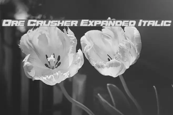 Ore Crusher Expanded Italic Font examples