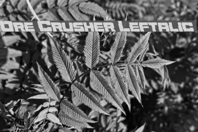 Ore Crusher Leftalic Font examples