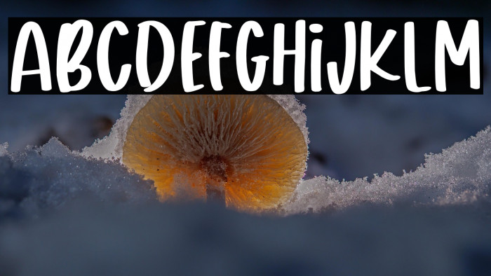 Oredo Regular Example 3