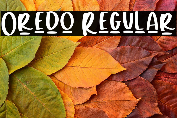 Oredo Regular Example 1