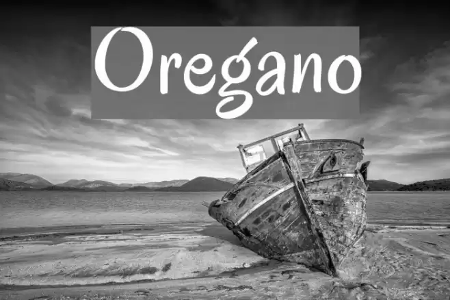 Oregano Font examples