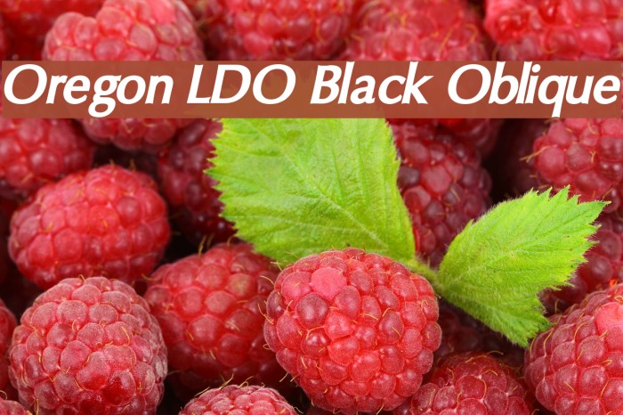 Oregon LDO Black Oblique Font examples