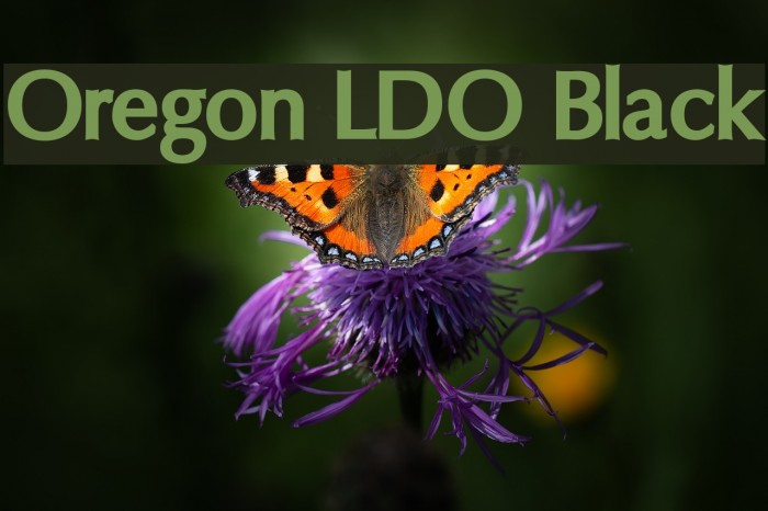 Oregon LDO Black Fonte examples