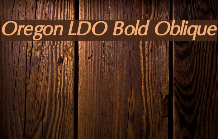 Oregon LDO Bold Oblique Font examples