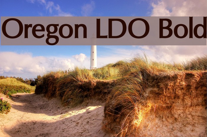 Oregon LDO Bold Fonte examples