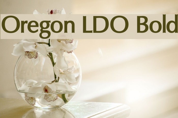 Oregon LDO Bold Fonte examples
