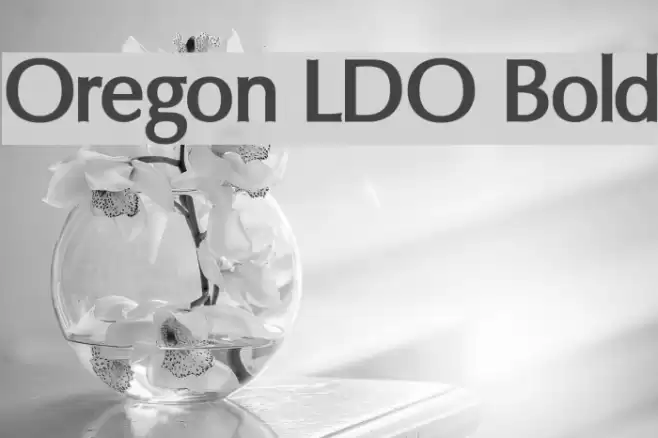 Oregon LDO Bold Font examples