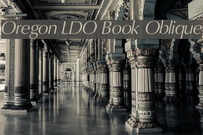Oregon LDO Book Oblique Font examples