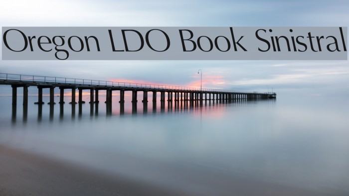 Oregon LDO Book Sinistral Font examples