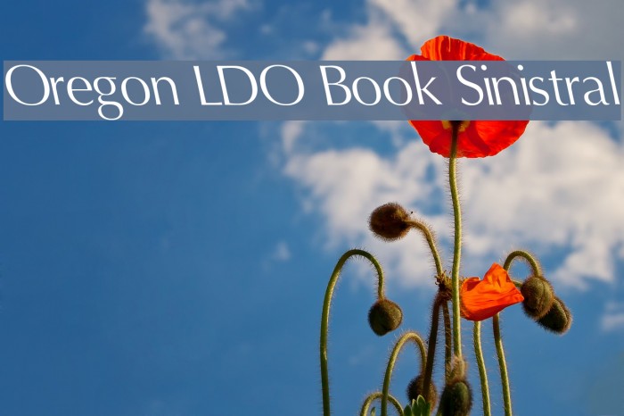 Oregon LDO Book Sinistral Font examples