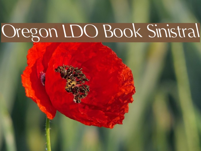 Oregon LDO Book Sinistral Font examples