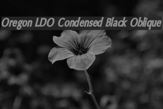 Oregon LDO Condensed Black Oblique Font examples